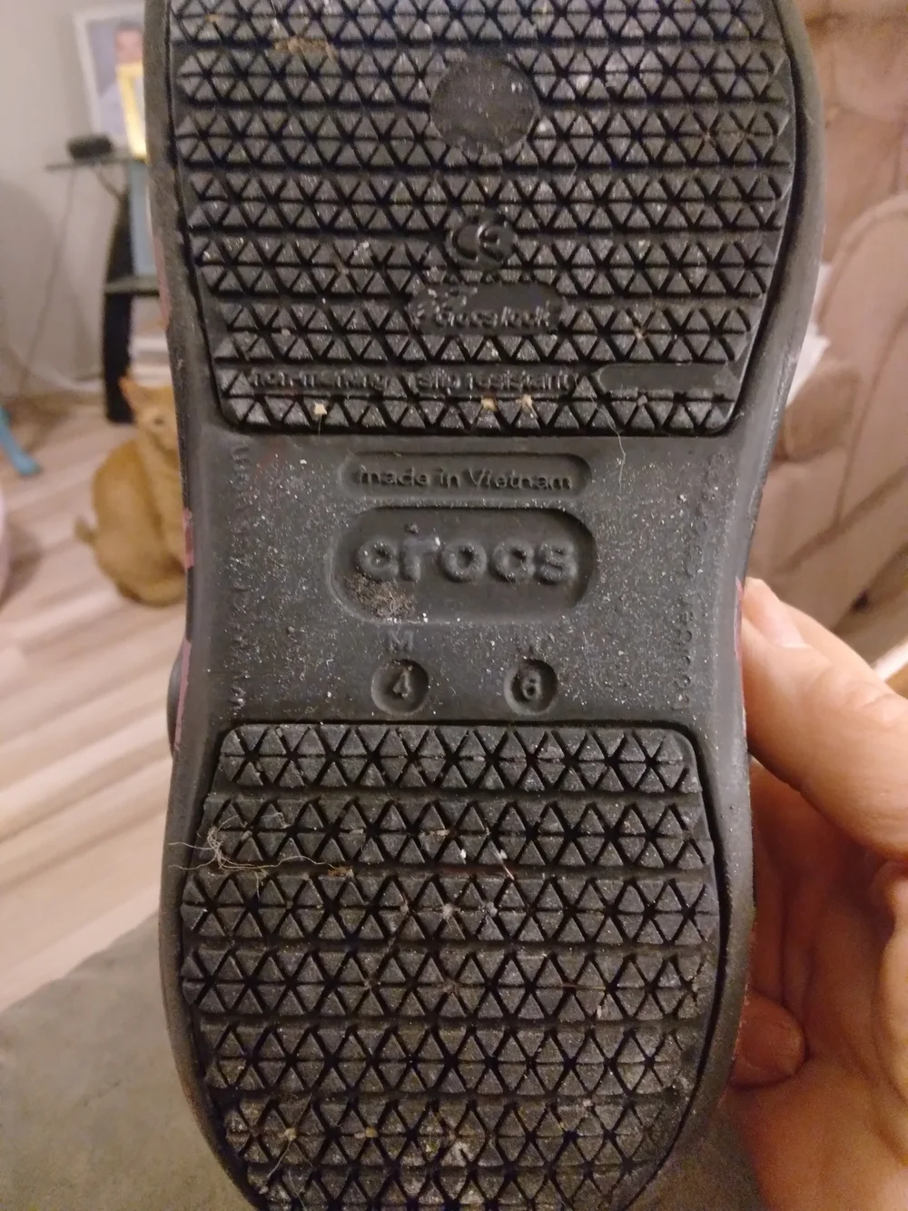 CROCS Kids Chili Pepoer Print Clogs in Black and Red